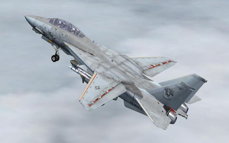 FSX Acceleration Grumman F-14D Tomcat v1.06