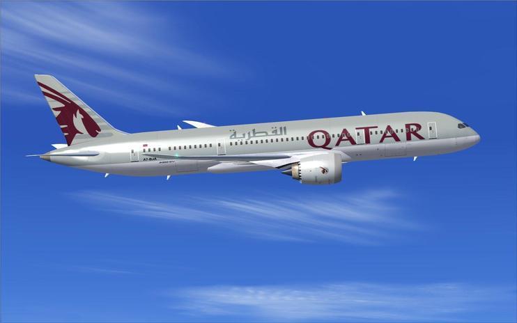 FSX Qatar Boeing 787-8