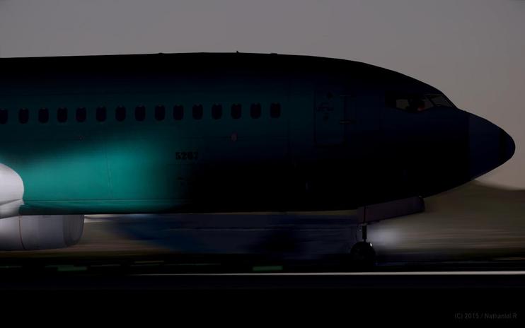 FS2004 Boeing 737-800WL Green Airframe