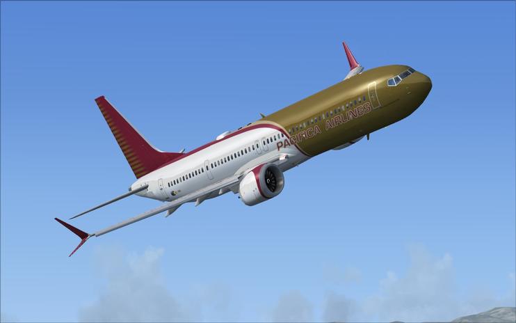 x plane ware 737